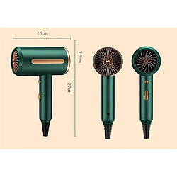Sèche-cheveux professionnel - Bleu