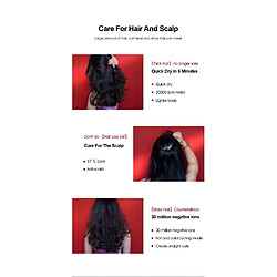 Acheter Sèche-cheveux H5 professionnel - Rouge