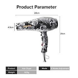 Sèche-cheveux professionnel ionique