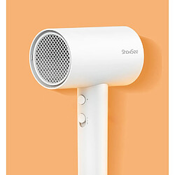 Sèche-cheveux ionique professionnel - 1800 W