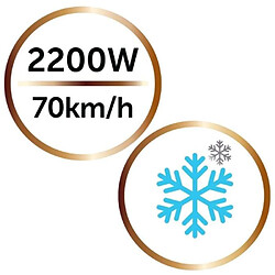 Remington D6098 - Noir