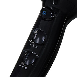 Avis Remington D5210