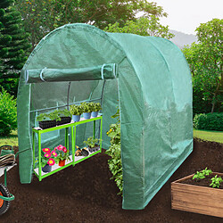 Monstershop Serre Polytunnel 19mm 3m x 2m avec Étagères