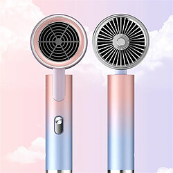 Acheter Sèche-cheveux professionnel ionique