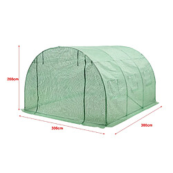 Helloshop26 Serre de jardin tunnel en acier et polyéthylène 300 x 300 x 200 cm vert 03_0008256