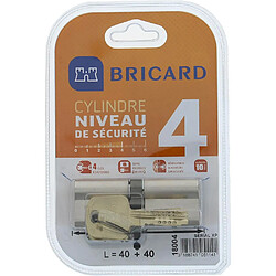 Bricard cylindre de serrure double entrée Serial XP 18004 - Gris nickelé