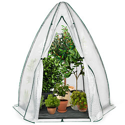 Idmarket MARKET Serre dôme hiver