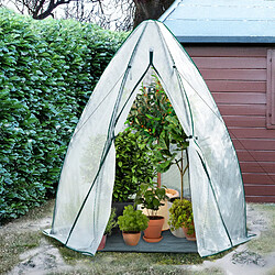 Idmarket MARKET Serre dôme hiver