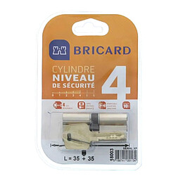 Bricard cylindre de porte Serial XP 18003 - 35+35 mm