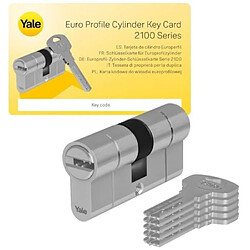 Yale cylindre de serrure débrayable YC2100