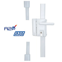 Vachette serrure multipoints 775SC