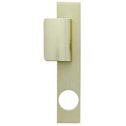 Fichet poignée palière PSS 690 pour serrure - Reconditionné