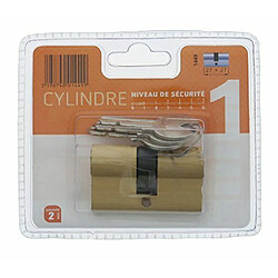 Bricard cylindre de serrure double entrée