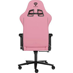 Avis Genesis Nitro 720 - Noir et rose