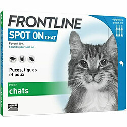 Hygiène & soin pour chat