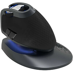 Delux M618X Souris de Jeu Sans Fil - Noir