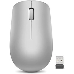 Lenovo USB 530 - Gris Platinium