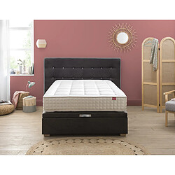 Acheter Epeda HERCULE Velours Gris Béton