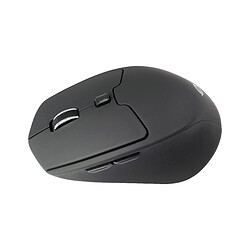Souris