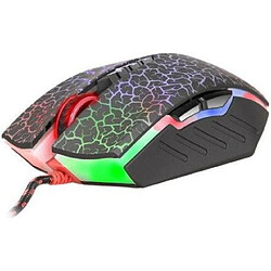 Souris