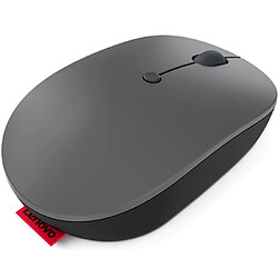 Lenovo Go Souris Ambidextre