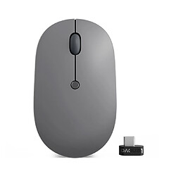 Lenovo Go Souris Ambidextre