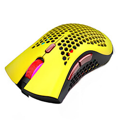 Souris gaming ergonomique sans fil - Grise