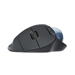 Avis Logitech Ergo Noir