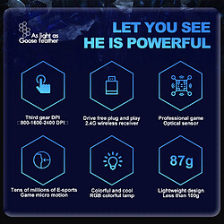 Souris gaming ergonomique sans fil - Grise pas cher