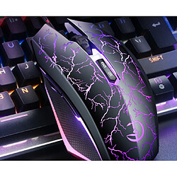 Avis P25 Gaming Mouse - Noire