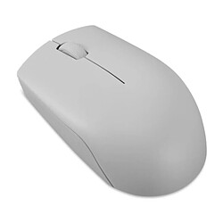 Lenovo 300 - Gris