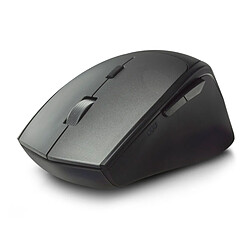 Souris