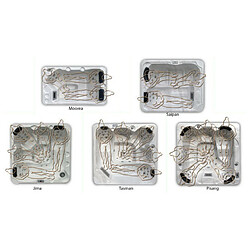 Water'clip Waterclip Nola - Gris pas cher