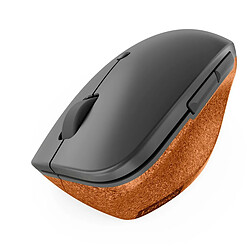 Avis Lenovo Go Grise
