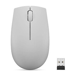 Lenovo 300 - Gris