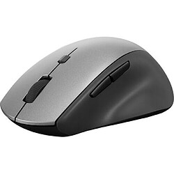 Lenovo 4Y50V81591 - Gris