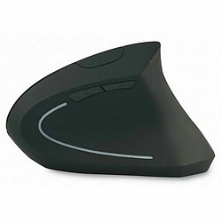 Avis Acer Noire
