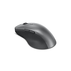 Lenovo 4Y51J62544 - Gris