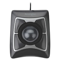 Kensington Expert Trackball