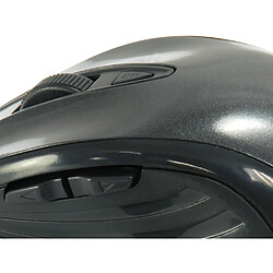 Souris