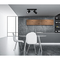 Italux Laconi Plafonnier Moderne 2 Ampoules