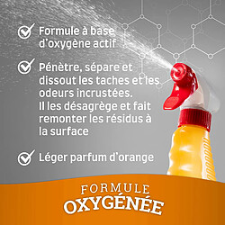 Avis Spray nettoyant anti-taches et odeurs - 709 ml