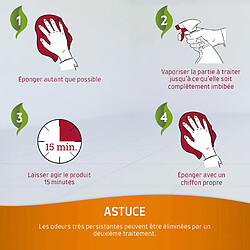 Spray nettoyant anti-taches et odeurs - 709 ml pas cher
