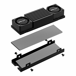 CS3150 1000Go M.2 pas cher