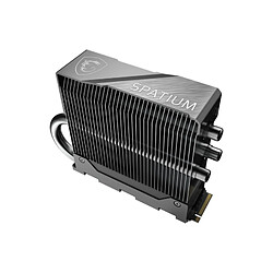 MSI SPATIUM M570 PRO - 2 To