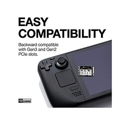 Seagate Technology Seagate FireCuda 520N - 1 To pas cher