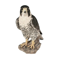 Vivid Arts Faucon Pèlerin en Résine - 26 cm