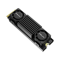 PNY CS3150 2To M.2 NVMe