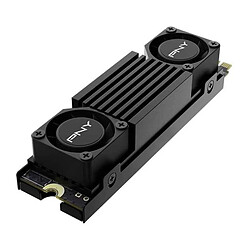 Acheter Pny CS3150 2To M.2 2280