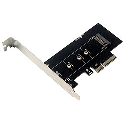 Carte de conversion PCIe Expasnion